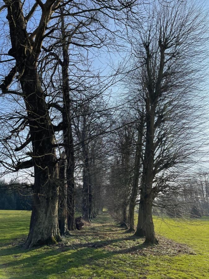 Chateau De Trebons Grainville-Ymauville Eksteriør billede
